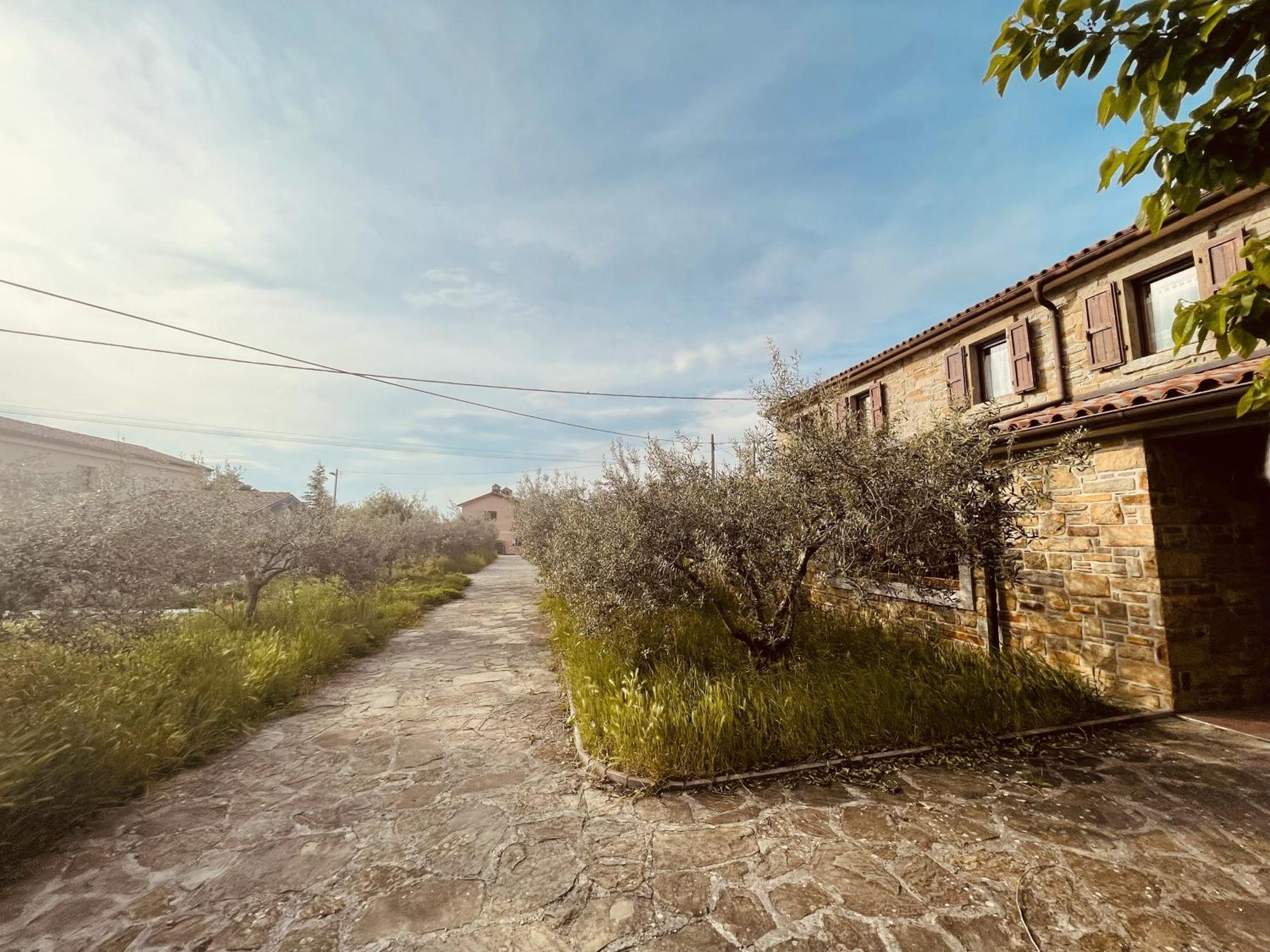 Paradise Villas With Swimming Pool Копер Номер фото